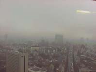 Tokyo Cam