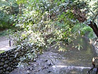 A small creek in Todoroki Gorge